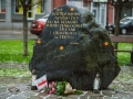 Parada Niepodległości